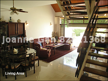 Villa Des Flores (D11), Terrace #11533382